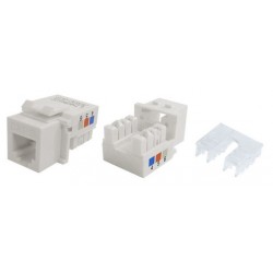 Conector RJ-11 Fêmea Cat 3